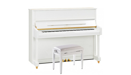 piano store-buy piano in dubai.jpeg