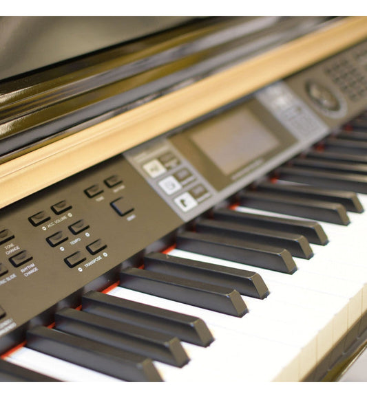 Steiner DP-1200 Digital Piano - Black NEW