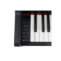 Steiner DP-250 Digital Piano – Black