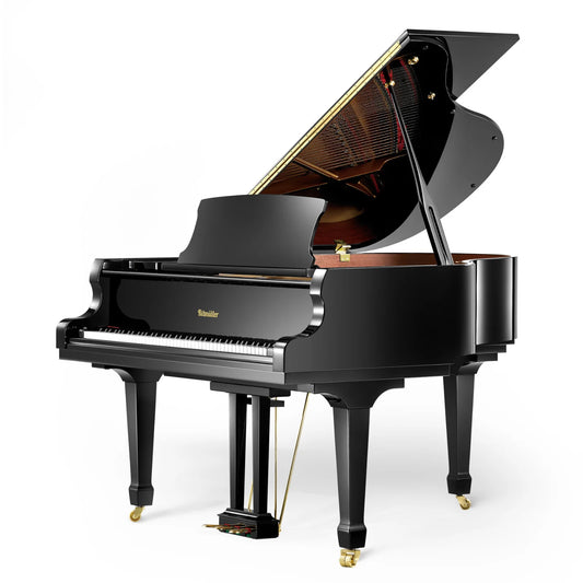 بيانو ريتمولر الكبير RS-150 أسود